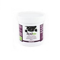 ERBAVOGLIO ACAI POLVERE BIO 100G 