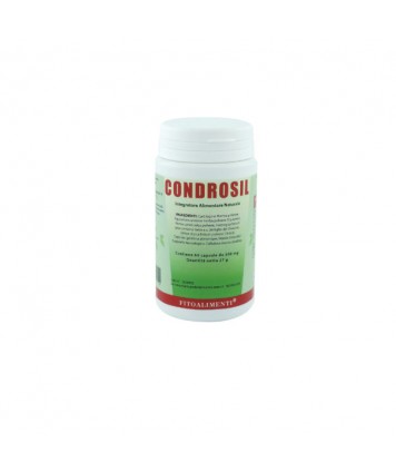 EURONATUR CONDROSIL 60 CAPSULE 