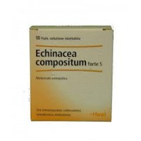 HEEL ECHINACEA COMPOSITUM FORTE 10 FIALE DA 1ML 