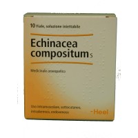 HEEL ECHINACEA COMPOSITUM 10 FIALE DA 1ML 