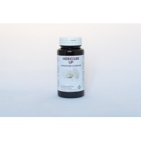 GHEOS HERICIUM UP 90 CAPSULE 