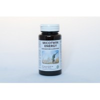 GHEOS MICOTWIN ENERGY 90 CAPSULE 