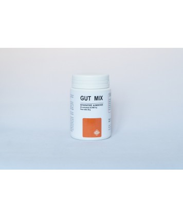 GHEOS GUT MIX 90 COMPRESSE 400MG