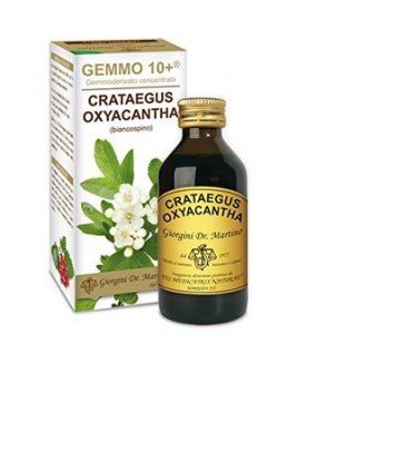 DR.GIORGINI BIANCOSPINO LIQUIDO ANALCOLICO GEMMO 10+ 100ML 