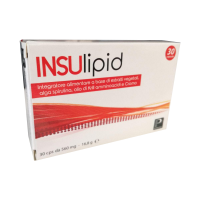 INSULIPID 30 COMPRESSE 30G