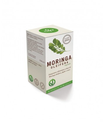 MORINGA OLEIFERA 30 CAPSULE