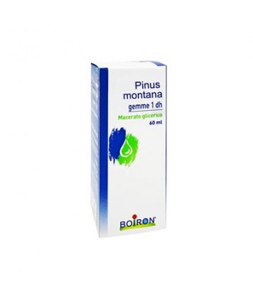 BOIRON PINUS MONTANA GEMME MACERATO GLICERICO 60ML 