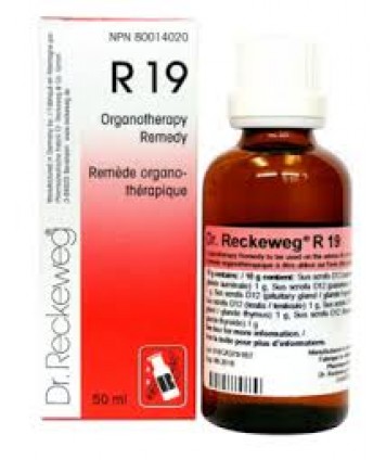 IMO DR.RECKEWEG R19 GOCCE 22ML 