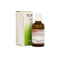 IMO DR.RECKEWEG R29 GOCCE 22ML 