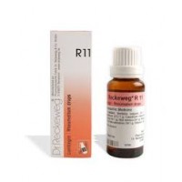 IMO DR.RECKEWEG R11 GOCCE 22ML 