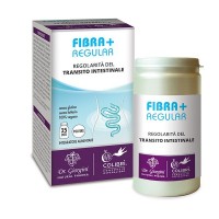 DR.GIORGINI FIBRA+ REGULAR POLVERE 100G 