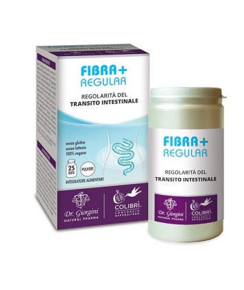 DR.GIORGINI FIBRA+ REGULAR POLVERE 100G 