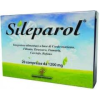 SILEPAROL 20 COMPRESSE 24G