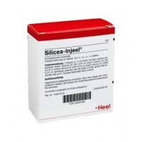 HEEL SILICEA INJEEL 10 FIALE DA 1ML  