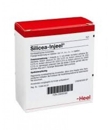 HEEL SILICEA INJEEL 10 FIALE DA 1ML  