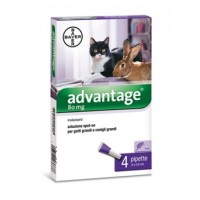 BAYER ADVANTAGE SPOT-ON 4 PIPETTE 0,8 ML GATTI 