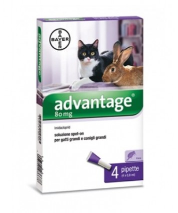 BAYER ADVANTAGE SPOT-ON 4 PIPETTE 0,8 ML GATTI 