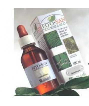 GINKO BILOBA TM 100ML FITO SAN S