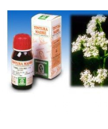 SPECCHIASOL VALERIANA 36 TINTURA MADRE 50ML 