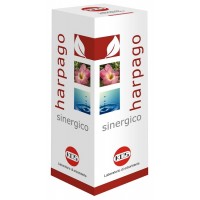 HARPAGO SINERGICO GTT 100ML