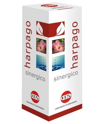 HARPAGO SINERGICO GTT 100ML