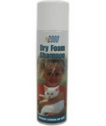 DRY FOAM SH GATTI 250ML