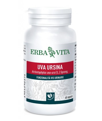 UVA URSINA 60CPS EBV