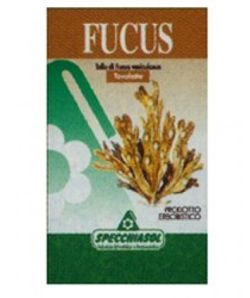 SPECCHIASOL FUCUS ERBE 150 TAVOLETTE 