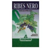 SPECCHIASOL RIBES NERO ERBE 75 CAPSULE 