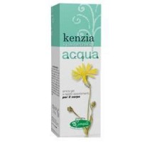 KENZIA ACQUA GEL ARNICA 100ML