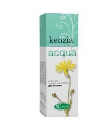 KENZIA ACQUA GEL ARNICA 100ML