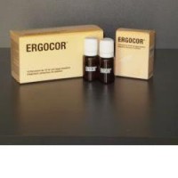 ERGOCOR-INTEG ENERG POLIV