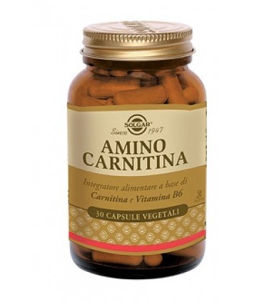 SOLGAR AMINO CARNITINA 500 30 CAPSULE 