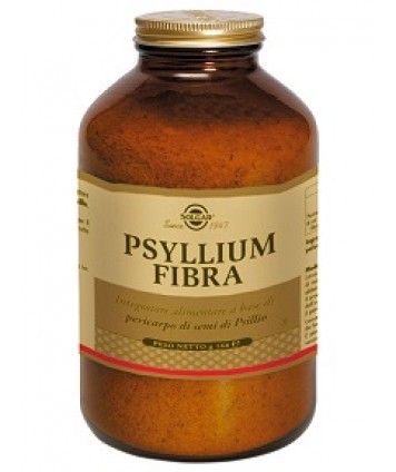 SOLGAR PSYLLIUM FIBRA 168G 