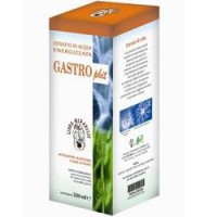 AVD REFORM GASTROPHIT MACERATO 250ML