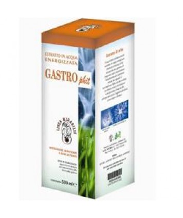 AVD REFORM GASTROPHIT MACERATO 250ML