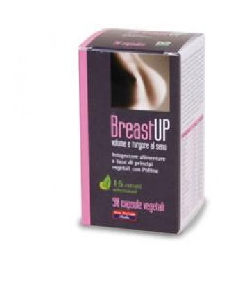 VITAL FACTORS BREAST UP 90 CAPSULE 