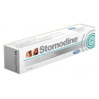 STOMODINE GEL GENG 30ML CANI