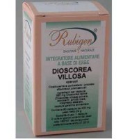 DIOSCORREA VILLOSA 60CPS 400MG