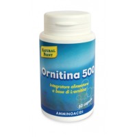 NATURAL POINT L-ORNITINA 50 CAPSULE DA 500MG 