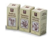 CARCIOFO ESTR ANALC 50ML ECOL