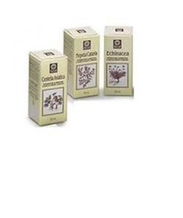 NEPETA CATARIA E.A. 50ML (799) E