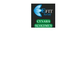 CYNARA SCOLYMUS ESTR FL 30ML