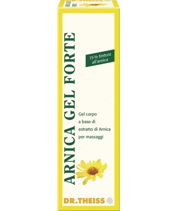 ARNICA GEL FTE 100 DR.THEISS