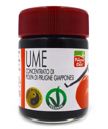 UME CONCENTRATO UMEBOSHI 40G