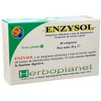 ENZYSOL INTEG 60CPR 24G