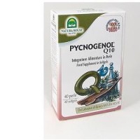 NATURA HOUSE PYCNOGENOL Q10 40 PERLE 390MG