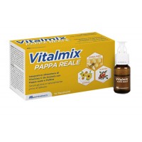 MONTEFARMACO VITALMIX PAPPA REALE 10 FLACONCINI DA 10ML