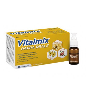 MONTEFARMACO VITALMIX PAPPA REALE 10 FLACONCINI DA 10ML