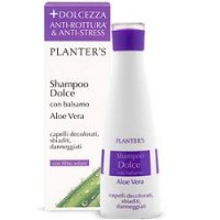 PLANTERS SHAMPOO DOLCE ALOE VERA